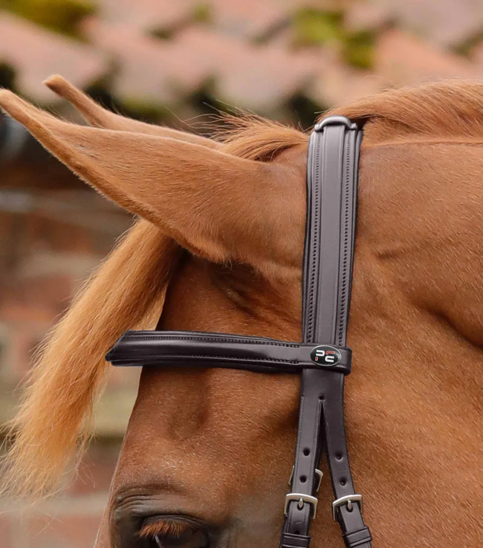 PEI Delizioso Anatomic Bridle