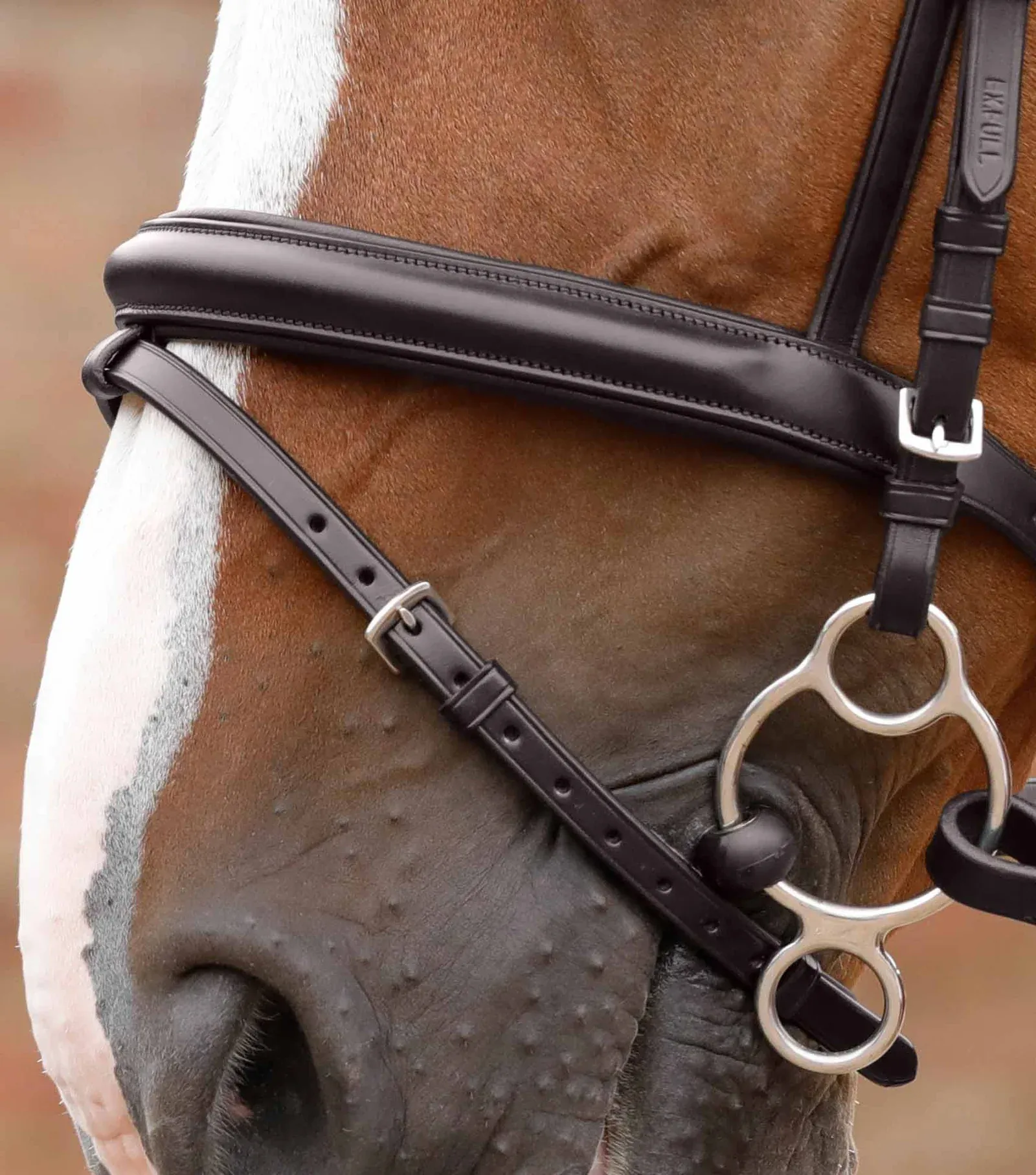 PEI Delizioso Anatomic Bridle