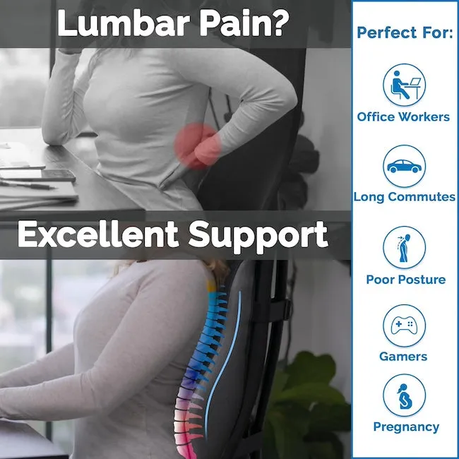 SitRight Pro Large Backrest Lumbar Support - Soft & Sleek Design