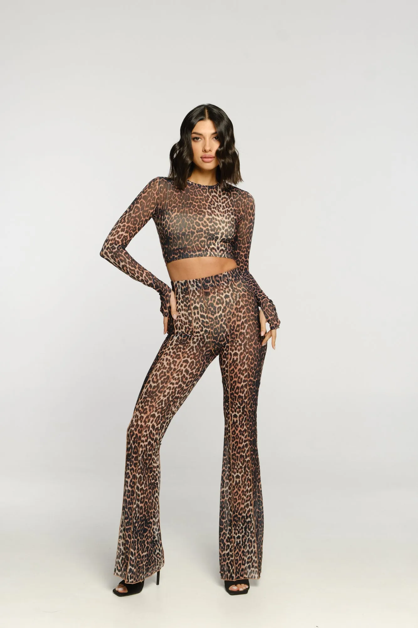 Top «Gaia» Leopard